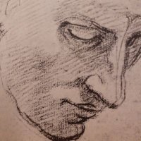 Anthony (@strludex) 's Twitter Profile