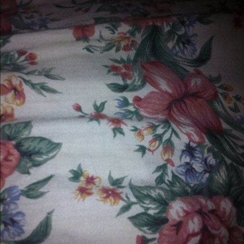 sfieck's profile picture. 