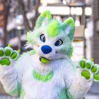 Minty Husky (@husky_mint) 's Twitter Profile