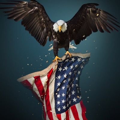 Believer in Jesus, the Christ, Dem turned Conservative, and proud 2A American. XX is a woman, XY is a man, period.
No DMs please. ✝️🇺🇲