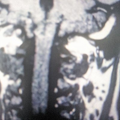 ╭32kbps stream of things that aren't real
|_ https://t.co/5WnEtZuNh0
|_ https://t.co/uMObOE6pgG
╰ habibi/habibti