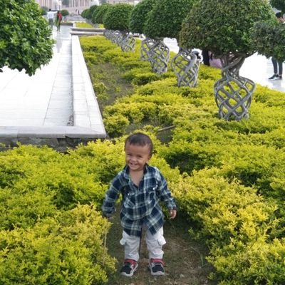 Faiyaz8081's profile picture. 