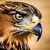 Bethlehem Catholic HS Athletics (@becahawkssoar) Twitter profile photo Bethlehem Catholic HS Athletics (@becahawkssoar) Twitter profile photo