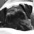 kim_roman's profile image