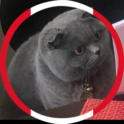 amolacocona's profile picture. soy una chica todo se me hace fácil. GEN Z.