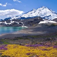 MtBakerDadx3 (@chrisalberts2) 's Twitter Profile