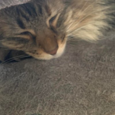 trueeevil_'s profile picture. youtube partner