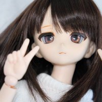 めろか (@itterevo) 's Twitter Profile