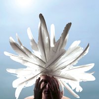 Fields of Wonder (@fieldsofwonder) 's Twitter Profile