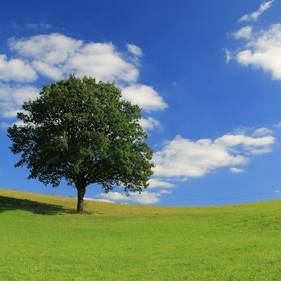 starting here a place to share and appreciate content about anime background art and techniques, both analogic/traditional and digital