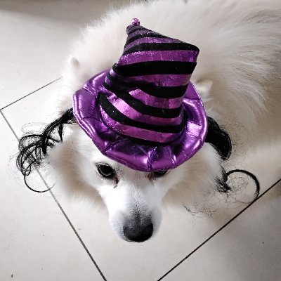 jinny5nhtgo's profile picture. Say it how it is no frills