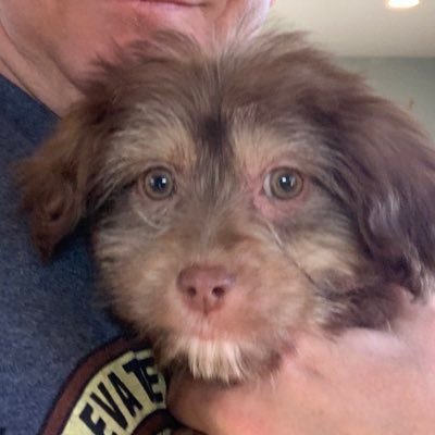 jambalayajoe95's profile picture. 