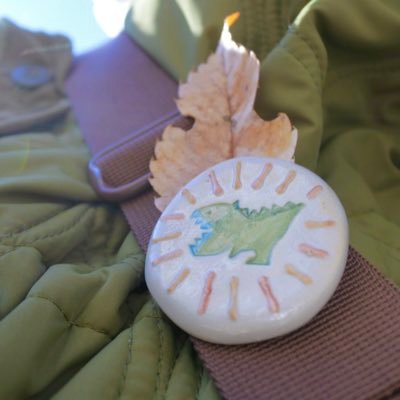 mhr0101rrr's profile picture. Dahlberg daisy