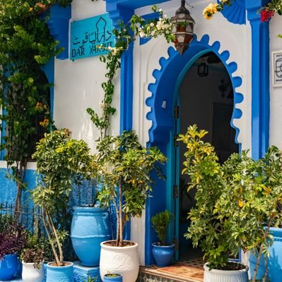 masihuddin23304's profile picture. 