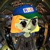 OG DEGEN (@pepe_whale69) Twitter profile photo OG DEGEN (@pepe_whale69) Twitter profile photo