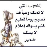 Bin Amer (@binamer77132574) Twitter profile photo