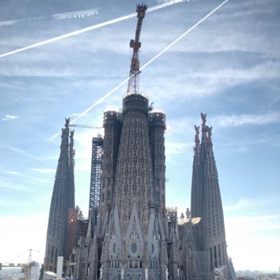 barragebarks's profile picture. ＼(^o^)／