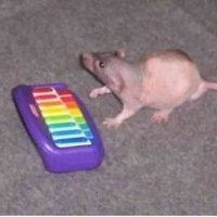 Notarobot243 (@notarobot243) 's Twitter Profile