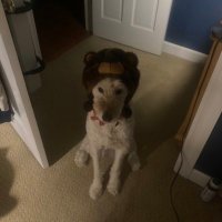 davis (@owcoffee1) 's Twitter Profile Photo davis (@owcoffee1) 's Twitter Profile Photo