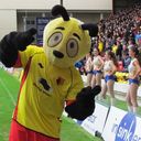 Watford Fan - @MichaelJohnTP - Twitter