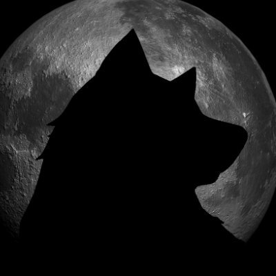 UniversalWolf21's profile picture. Disabled Gamer Making The Best Of Life.

Body me in fighting games, plz?
PC/Steam/XB/PS: UniversalWolf21
|Male
|Nerd
|Scrub
❤️ @Kuudere110