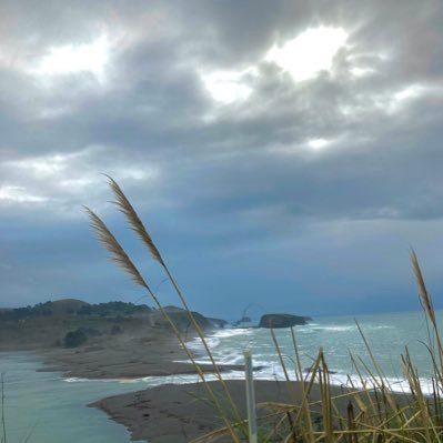 crazywant2come's profile picture. 