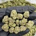 Hemp Products (@hempproduc56433) Twitter profile photo