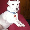 Carol Eddy - @CarolEddy1 - Twitter