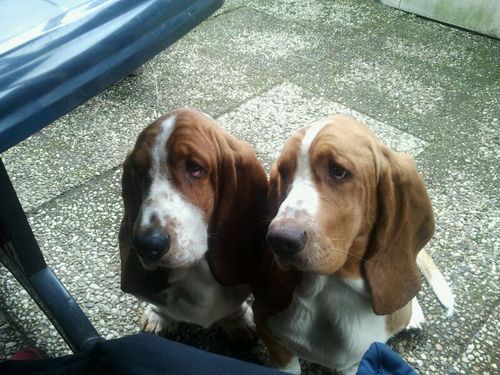 jvdmeer1's profile picture. 