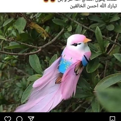 سلم أمرك للقدير فإنه لو شاء أنزل بين كفيك القمر ❤️. https://t.co/pElcnKj1hG فولو ل حسابي الانستا🤍