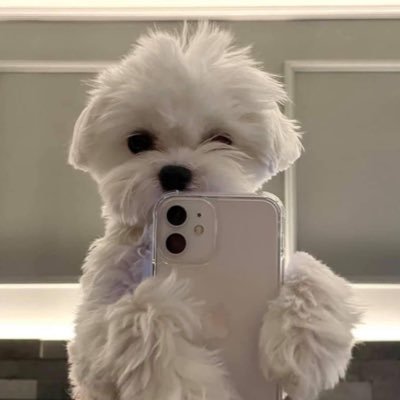 wltjs4321's profile picture. 2n/🐢한스푼 넣은 올프 입니당😘