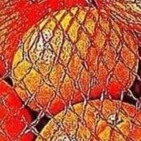 bit fruity โฉ FWA (@fruitbowlnsfw) 's Twitter Profile Photo bit fruity โฉ FWA (@fruitbowlnsfw) 's Twitter Profile Photo