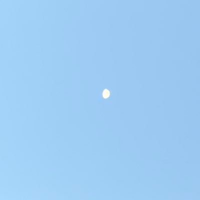 M26147279's profile picture. 🌸🌸🌸