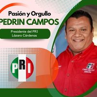 PEDRÍN SÍ (@pedrinlzc) 's Twitter Profile