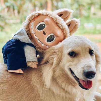 SOneGGu1's profile picture. SONE