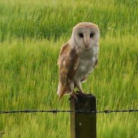 ziggy (@ziggyziggy2709) 's Twitter Profile