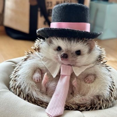 Krinjoppio's profile picture. 