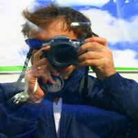 Mark Lane (@markdlane1) 's Twitter Profile