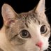 Husniddin (@husniddin01234) Twitter profile photo Husniddin (@husniddin01234) Twitter profile photo
