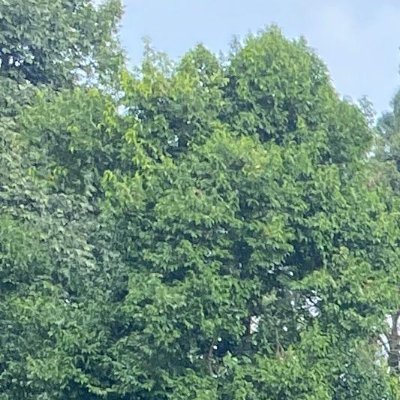 DarrenJ82215627's profile picture. 