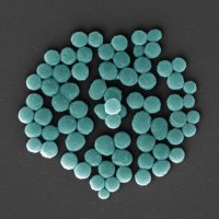 Fruk Lab (@fruklab) 's Twitter Profile Photo Fruk Lab (@fruklab) 's Twitter Profile Photo