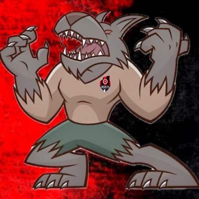 reus_sempre's profile picture. 🐺❤️🖤🐺