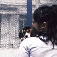 敲可爱小燕子 (@donatella_sunnn) 's Twitter Profile