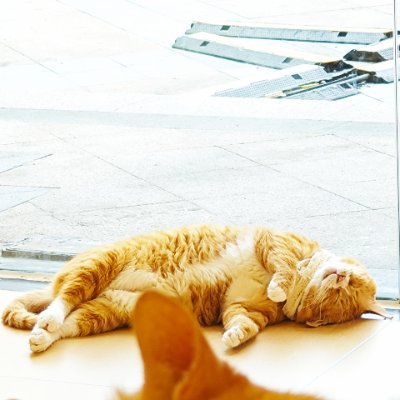 Arlet_Cheng's profile picture. Working in the field of security surveillance