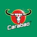 Carabao UK (@carabaouk) Twitter profile photo Carabao UK (@carabaouk) Twitter profile photo