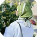 OmaiHani (@omai_hani) Twitter profile photo OmaiHani (@omai_hani) Twitter profile photo