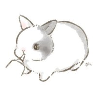 うさうさ🍒(オシャレな模様うたちゃん) (@usatsukiusagi) 's Twitter Profile Photo うさうさ🍒(オシャレな模様うたちゃん) (@usatsukiusagi) 's Twitter Profile Photo