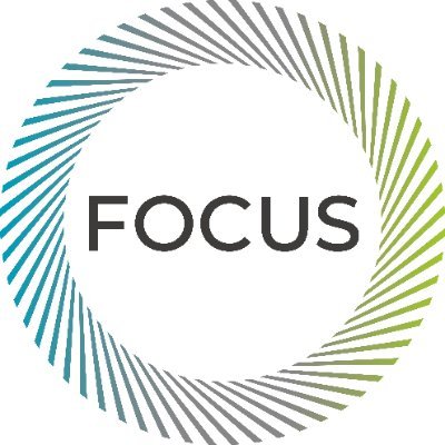 Focus Consultants Profile