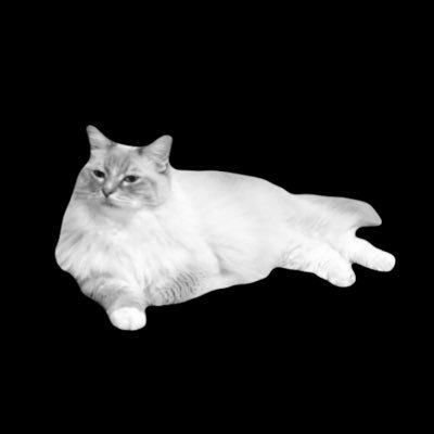 TOMOさんのプロフィール画像