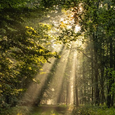 Iisususjjs's profile picture. What life has in store for me?